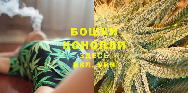 PSILOCYBIN Алексеевка