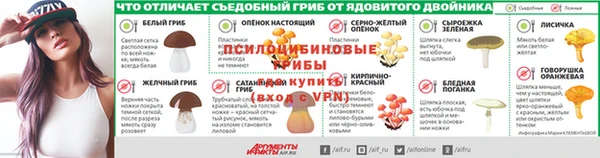 PSILOCYBIN Алексеевка