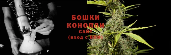 PSILOCYBIN Алексеевка