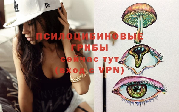 PSILOCYBIN Алексеевка