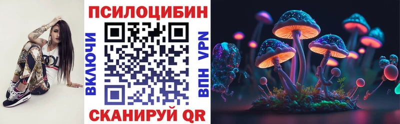 даркнет сайт  Королёв  Галлюциногенные грибы прущие грибы 